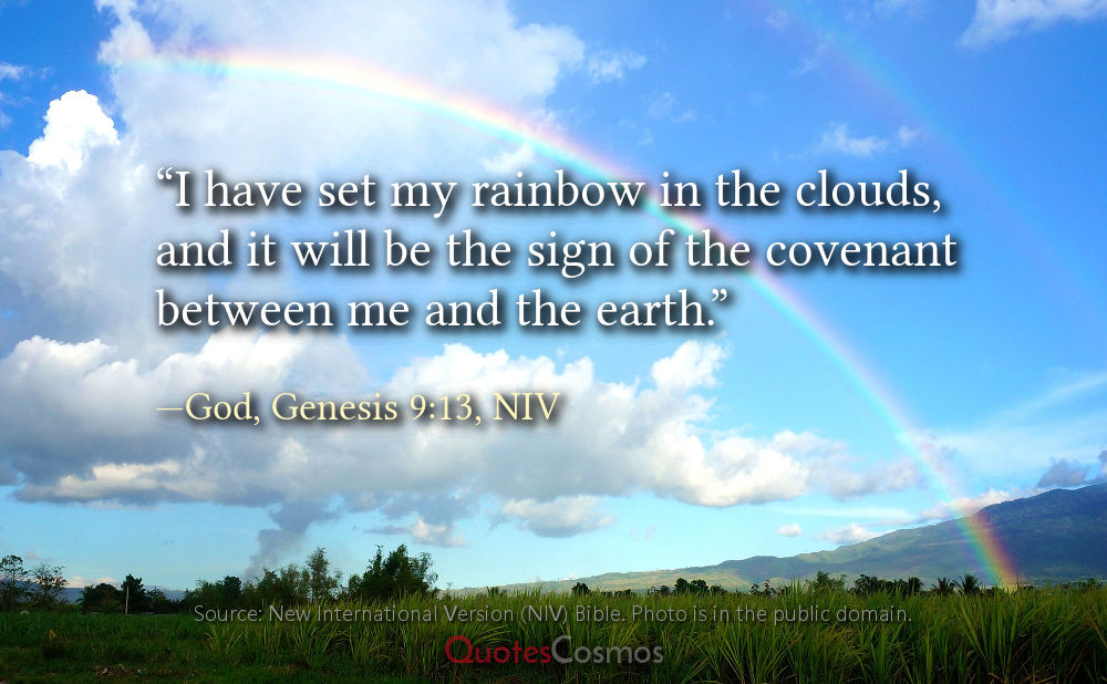 Genesis 9:13 “I have set my rainbow in the clouds”: Translation