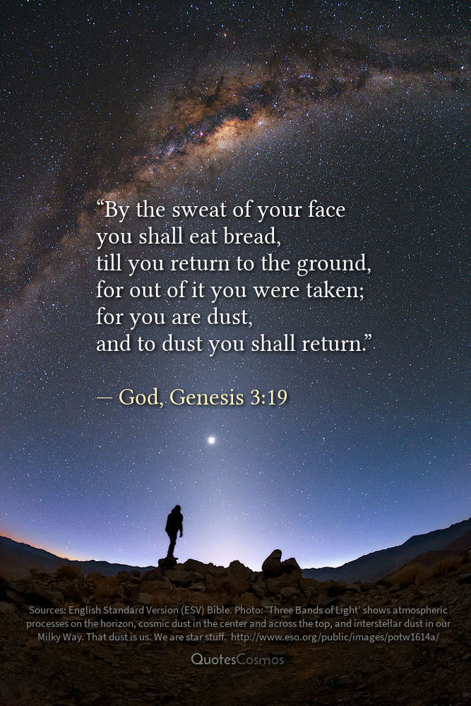 Genesis 3:19 “and to dust you shall return”: Translation, Meaning, Context