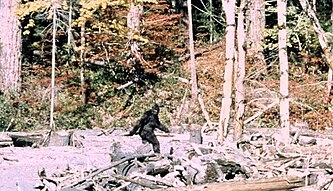 Bigfoot