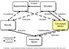 Conceptual model