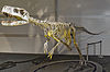 Ken Ham