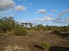 Environmental degradation