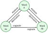 Salman Rushdie