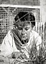 Harper Lee thumbnail