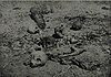 Partition riots in Rawalpindi