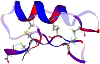 Peptide
