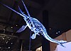 Ken Ham