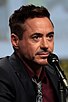 Robert Downey Jr. thumbnail