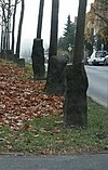 Social sculpture