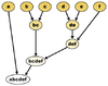 Taxonomy