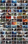 The Tree of Life (film)