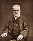 Victor Hugo thumbnail