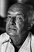 Vladimir Nabokov thumbnail