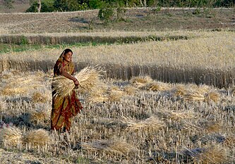 Women in India