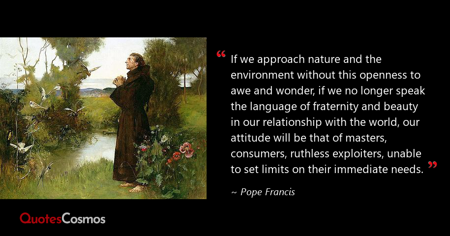 “If we approach nature and the…” Pope Francis Quote